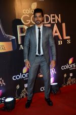 Gautam Gulati at Golden Petal Awards in Mumbai on 6th March 2016